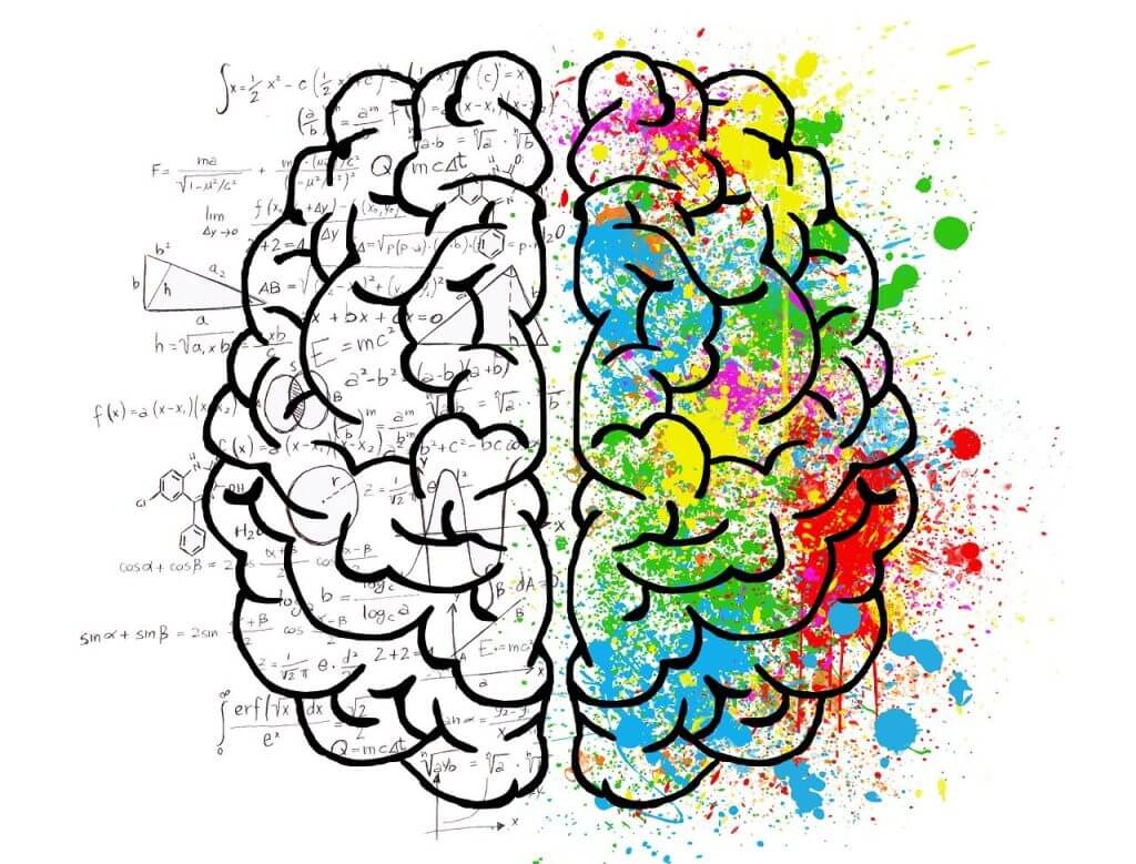 Polyvagal Theory & Vagal Regulation: Rewiring Your Nervous System for Safety, Connection, and Healing